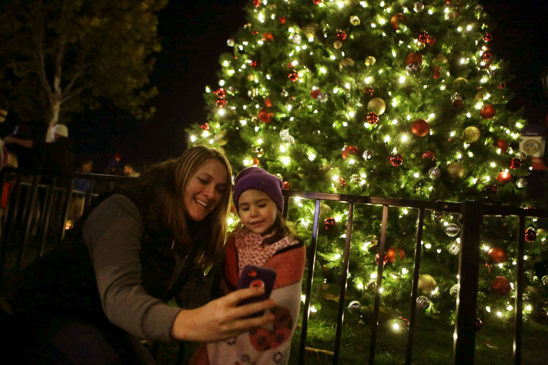 Napa Christmas Tree